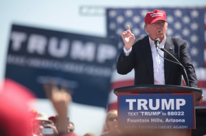 Donald Trump speaking before supporters at a rally in Arizona.  Credit: Gage Skidmore