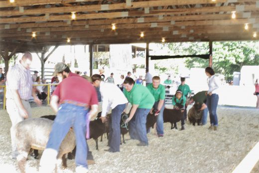 Credit: Ingrid Sofield/NewtownPANow.com