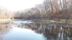 Tyler Park on a recent morning. Credit: Tom Sofield/NewtownPANow.com