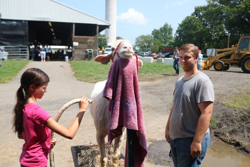 Grange Fair Opens For 71st Year Wednesday